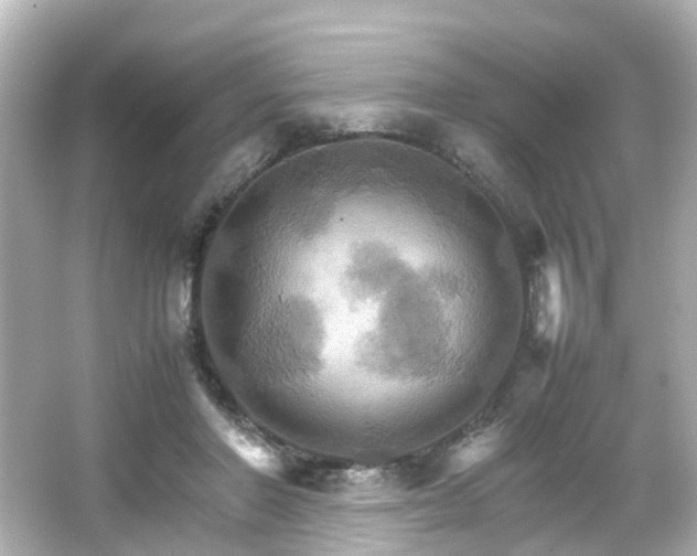 X0000066540406200603201431