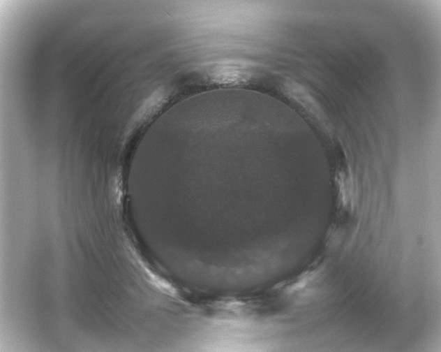 X0000066540407200603201431