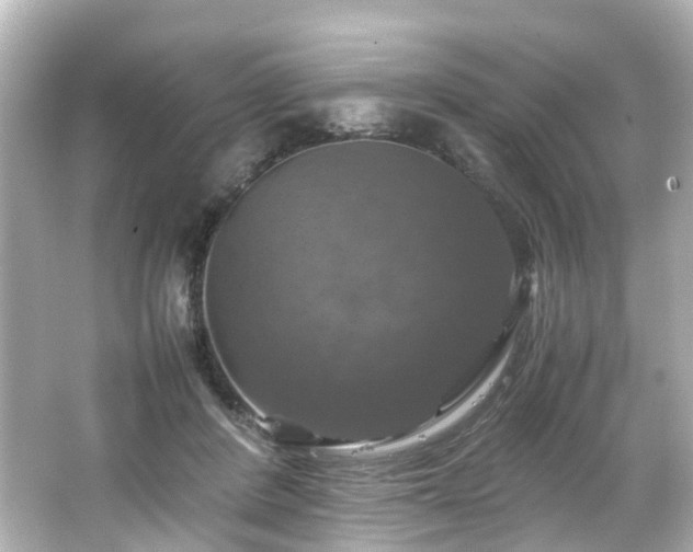 X0000066540408200603201431