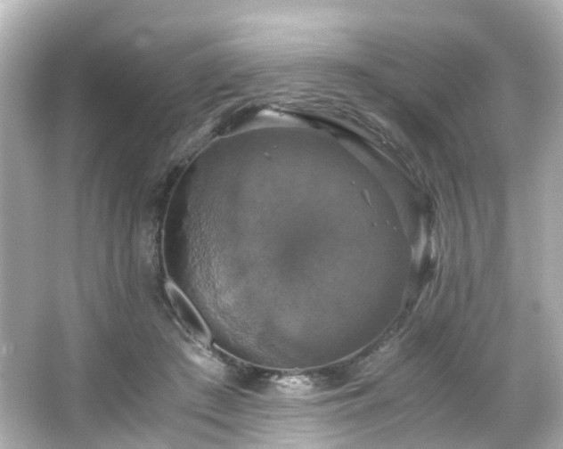 X0000066540409200603201431