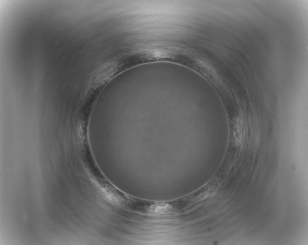 X0000066540410200603201431