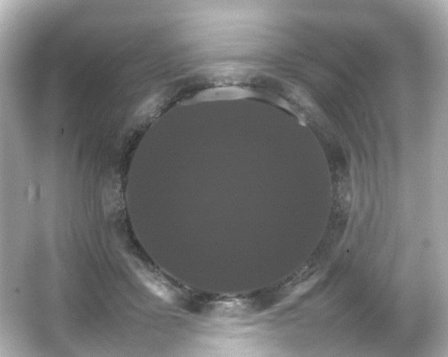 X0000066540411200603201431