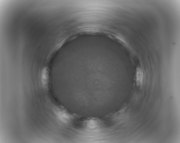 X0000066540412200603201431