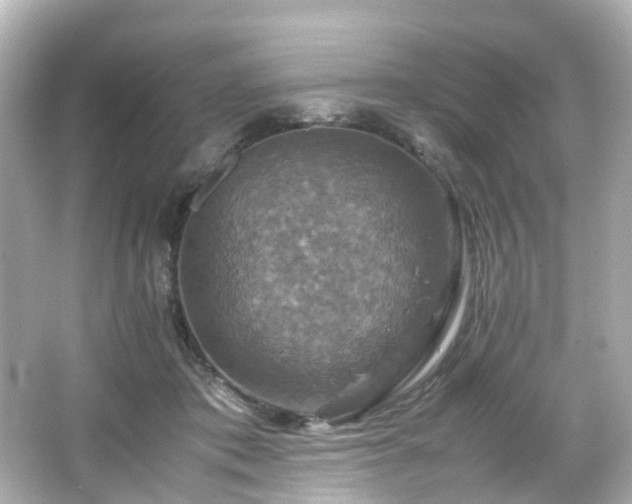 X0000066540413200603201431