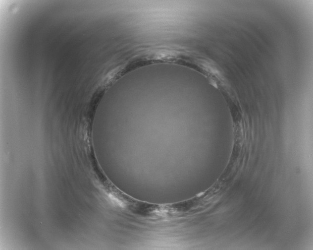 X0000066540415200603201431