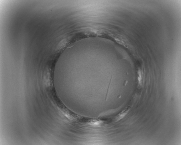 X0000066540416200603201431