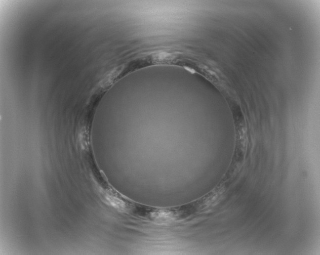 X0000066540419200603201431