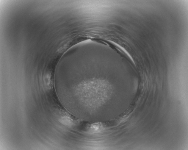 X0000066540420200603201431