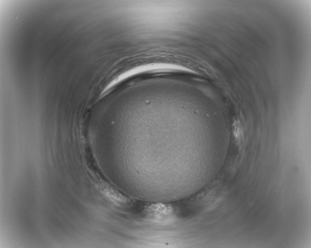 X0000066540421200603201431