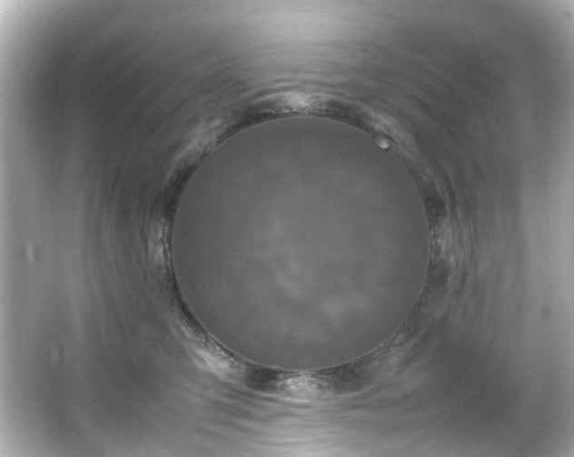 X0000066540423200603201431