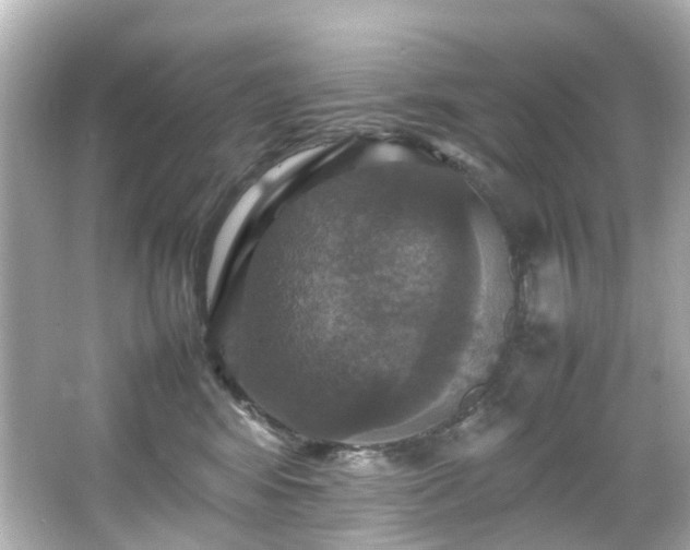 X0000066540424200603201431