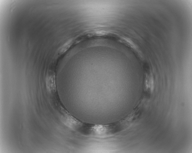 X0000066540425200603201431