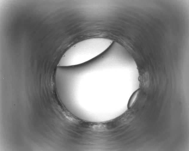 X0000066540426200603201430