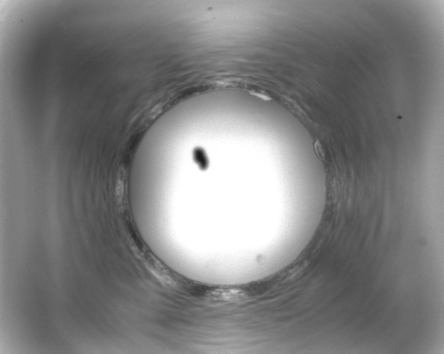 X0000066540427200603201430