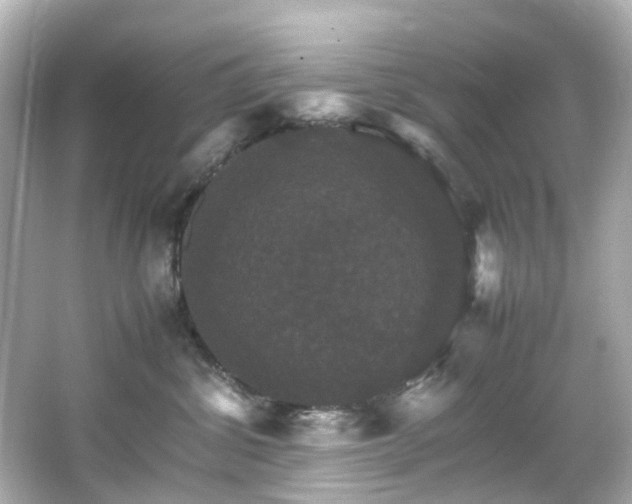 X0000066540428200603201430