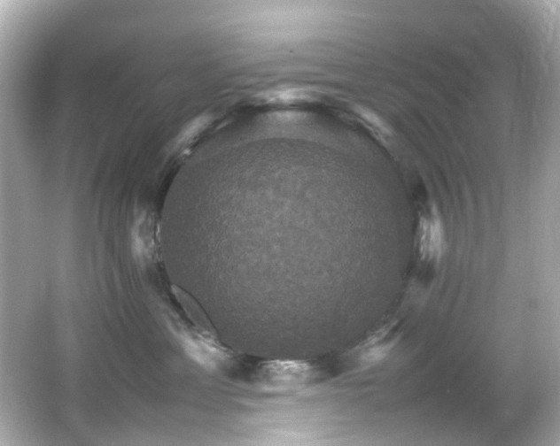 X0000066540429200603201430