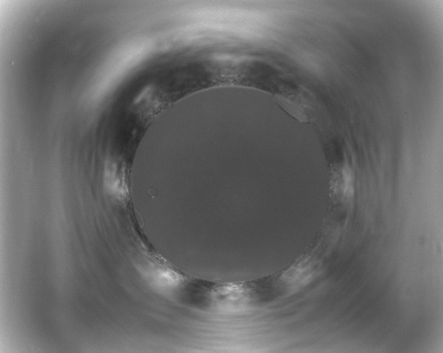 X0000066540431200603201430