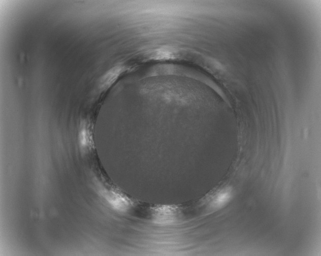 X0000066540432200603201430