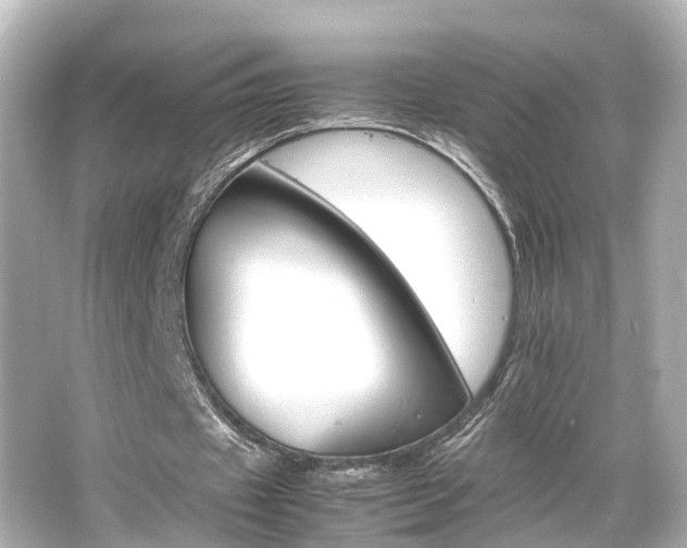 X0000066540433200603201430