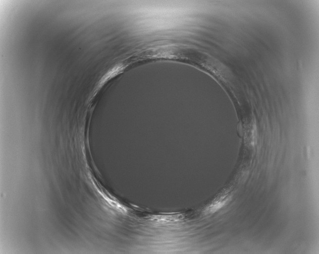 X0000066540434200603201430