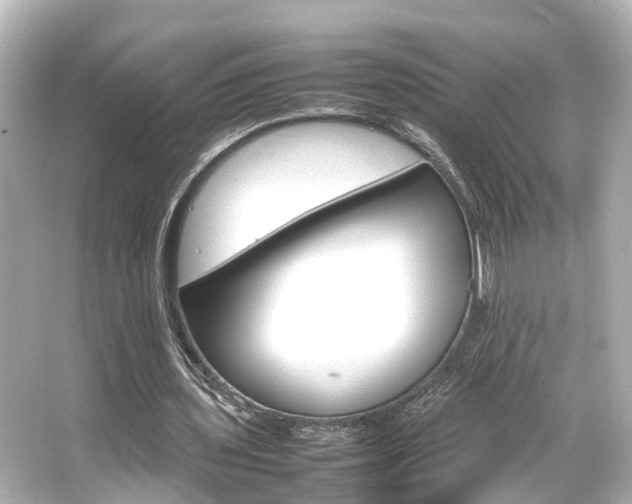 X0000066540435200603201430