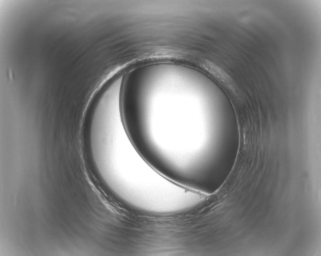 X0000066540436200603201430