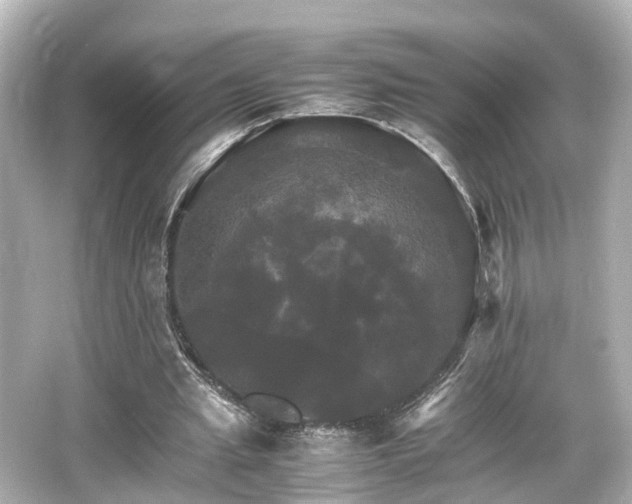 X0000066540437200603201430