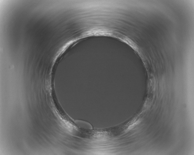 X0000066540438200603201430