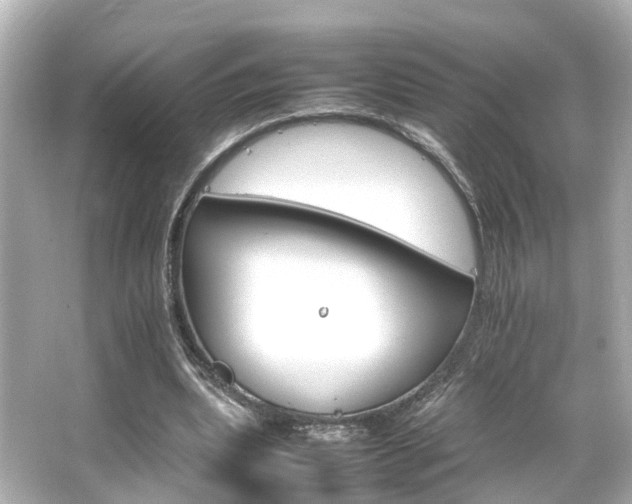 X0000066540439200603201430