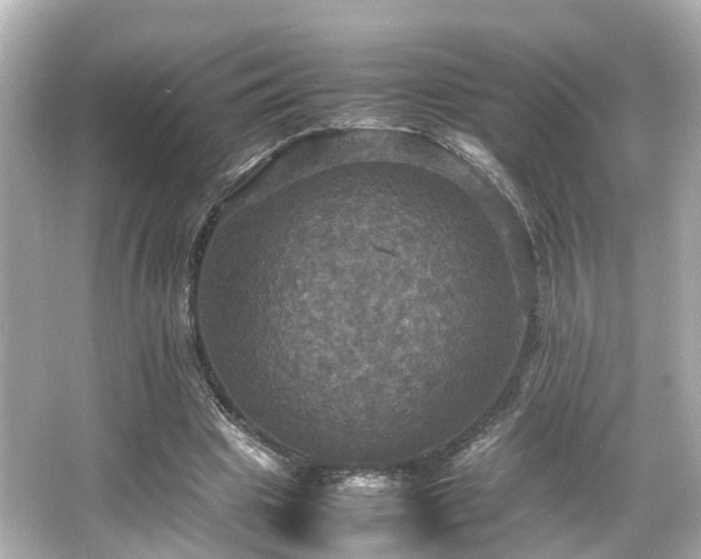 X0000066540441200603201430