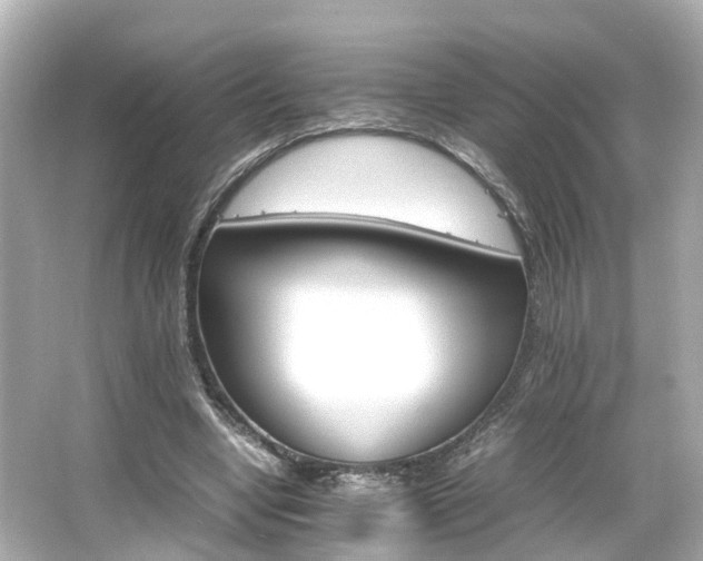 X0000066540442200603201430