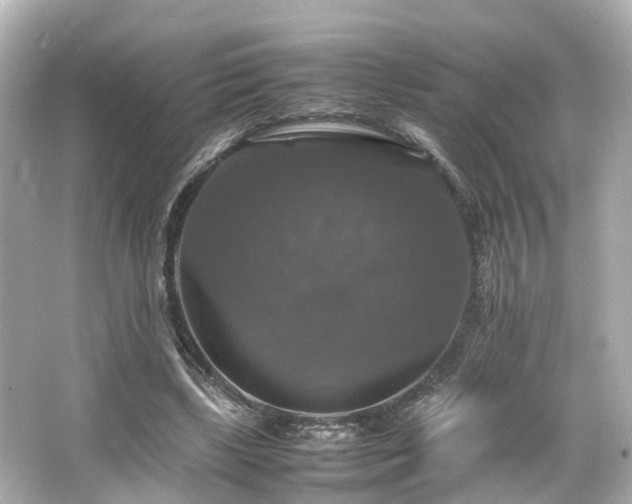 X0000066540443200603201430