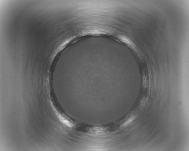 X0000066540444200603201430