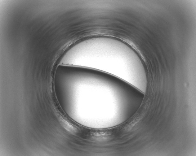 X0000066540445200603201430