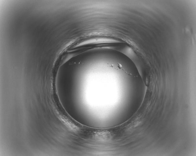 X0000066540446200603201430