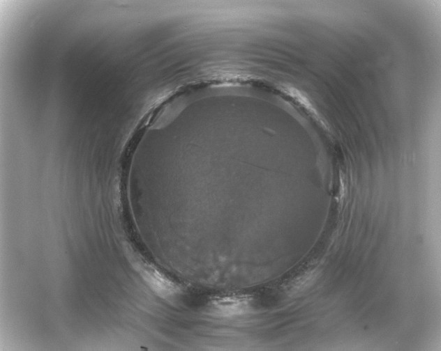 X0000066540447200603201430