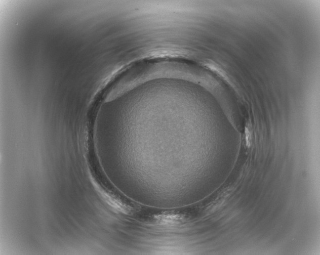 X0000066540448200603201430