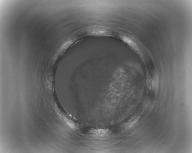 X0000066540449200603201430