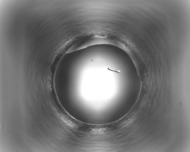 X0000066540450200603201430