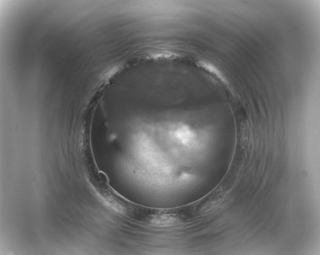 X0000066540451200603201430