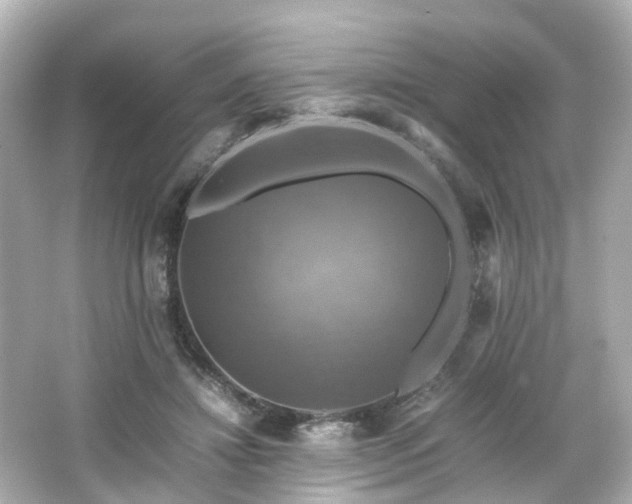 X0000066540452200603201430