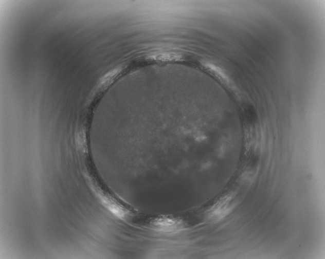 X0000066540453200603201430