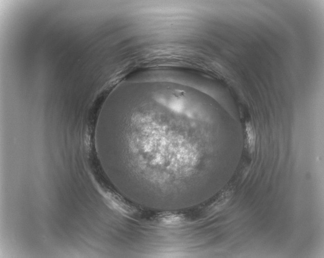 X0000066540456200603201430