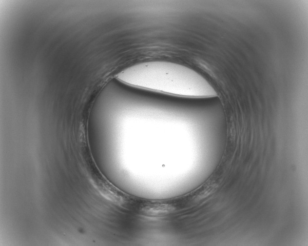 X0000066540459200603201430