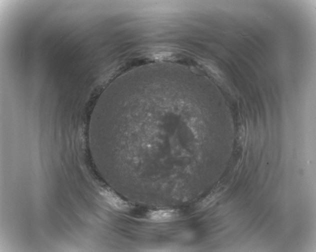 X0000066540461200603201430