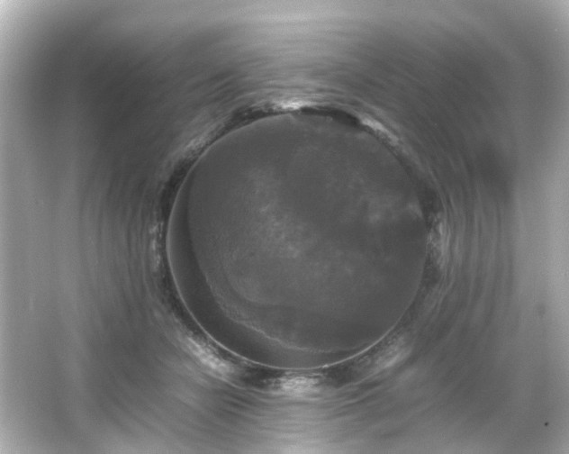 X0000066540462200603201430