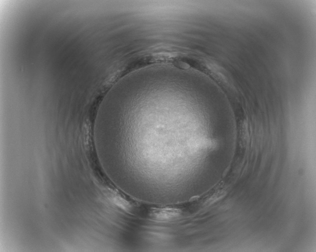 X0000066540463200603201430