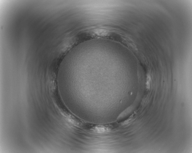 X0000066540464200603201430