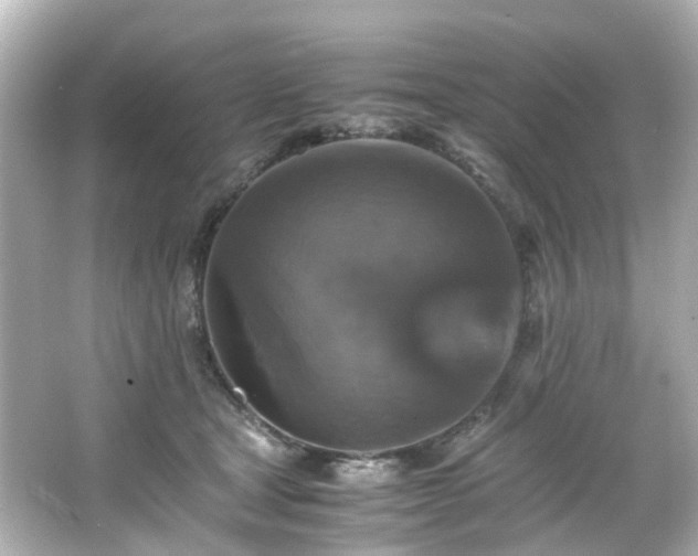 X0000066540465200603201430