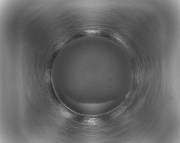 X0000066540467200603201430